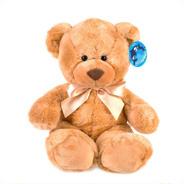 Süßer Teddybär Braun