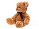 Teddybär Schokebraun
