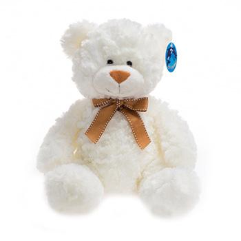 Teddybär Weiß