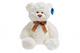 Teddybär Weiß