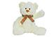 Teddybär Weiß