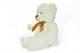 Teddybär Weiß