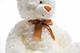 Teddybär Weiß