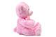 Teddybär Rosa
