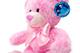 Teddybär Rosa