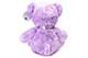 Teddybär Violett