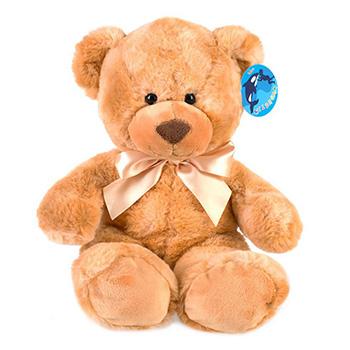 Süßer Teddybär Braun
