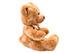 Süßer Teddybär Braun