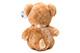 Süßer Teddybär Braun