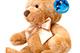 Süßer Teddybär Braun