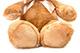 Süßer Teddybär Braun